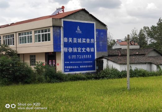 滑县决定墙体广告价格的因素有哪些?